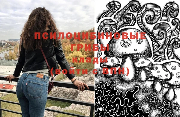 индика Бронницы