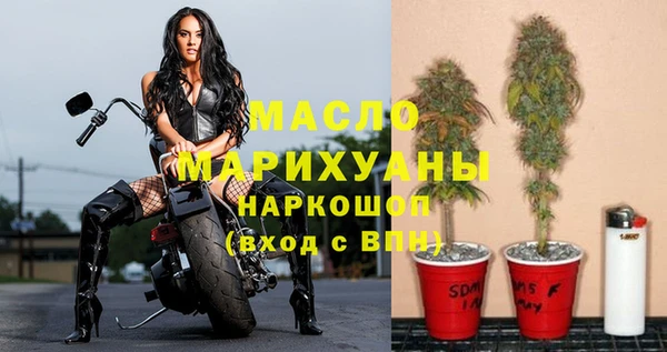 гашик Бородино