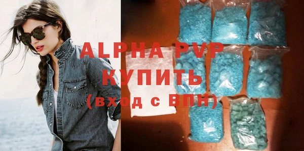 индика Бронницы