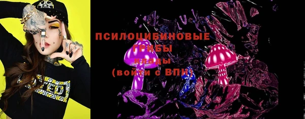 индика Бронницы