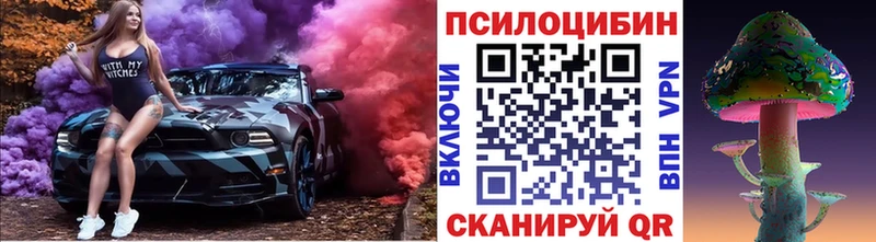 Галлюциногенные грибы мицелий  цена наркотик  Дубовка 